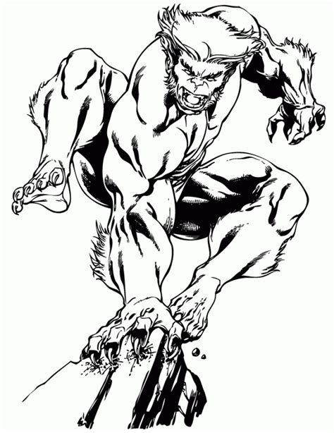 picture  wolverine coloring pages   children slii