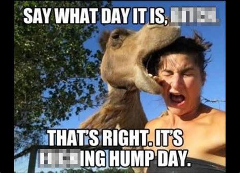 Happy Hump Day 2021 Memes Images  Quotes And Pictures