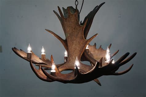large real moose antler chandelier mysite
