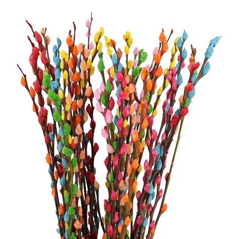 pussy willow dyed rainbow mix 70cm wholesale dutch flowers and florist