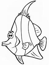 Fish Angel Coloring Cartoon Pages Drawing Angelfish Sketch Getdrawings Template sketch template