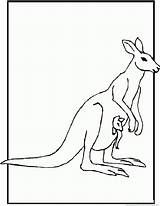 Kangroo sketch template