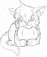 Warrior Cats Firestar Coloring Pages Search Again Bar Case Looking Don Print Use Find sketch template