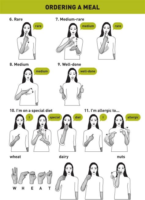 ordering  meal  sign language infographics thatll