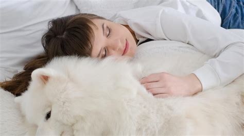 sleep   pet  bed beware   affect  sleep