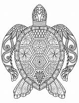 Coloring Adult Pages Completed Animal Getcolorings Printable Mandala sketch template