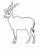 Eland Coloring Pages Color Animal Animals Print Back sketch template