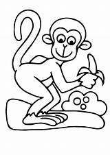 Coloring Banana Monkey Pages Baby Kids Printable Coloring4free Color Cute Print Split Getcolorings Animal Playing Funny Choose Board Book sketch template