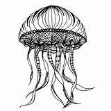 Jellyfish Octopus Society6 sketch template