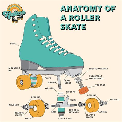 roller skate parts diagram wiring diagram info