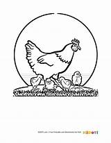 Chicken Coloring Pages Open sketch template