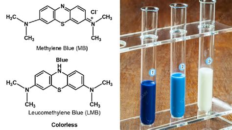 methylene blue reduction test microbiologynotecom