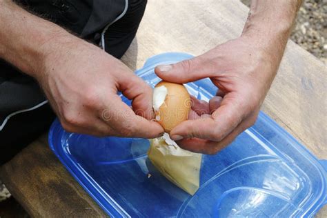 gepelde harde shell kookte ei isoleert op witte achtergrond stock foto afbeelding bestaande
