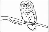 Burung Hantu Sketsa Mewarnai Anak Hewan Kolase Tk Paud Menggambar Belajar Marimewarnai Binatang Merpati Kakak Contoh Elang Pelajarindo Lh5 Garuda sketch template