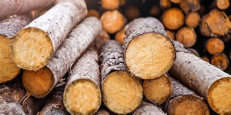 large logs firewoodfund
