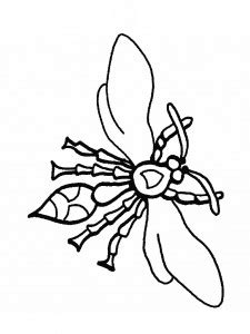 bug coloring page  kids picture animal place