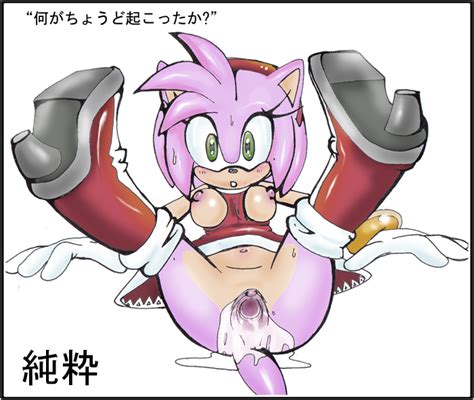 image 353770 amy rose purity sonic team