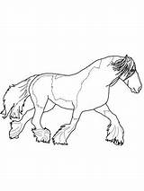 Coloring Horse Pages Shire Click Printable Gypsy Getcolorings Vanner Version Getdrawings sketch template