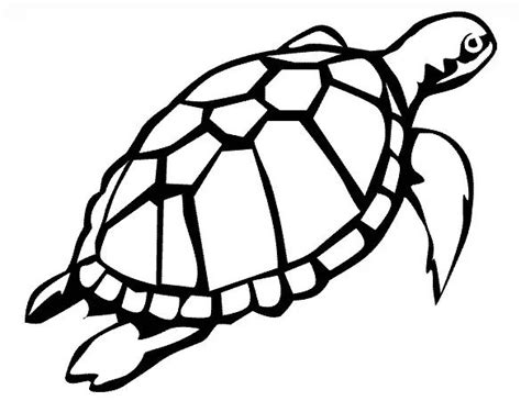 turtle templates crafts colouring pages turtle coloring pages