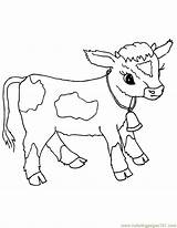 Cow Coloring Baby Pages Printable Animals Cows Color Calf Farm Kids Animal Sheets Coloringpages101 Draw Seç Pano sketch template