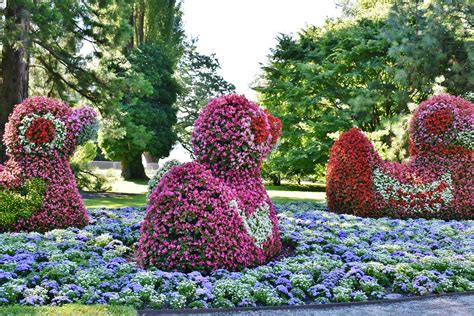 mainau garten revue