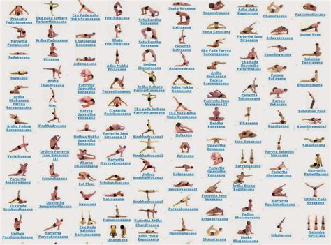 classic yoga asanas  google search hatha yoga poses  yoga