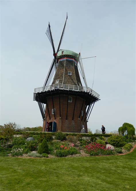 de zwaan windmill atwindmill island  holland mi moinho