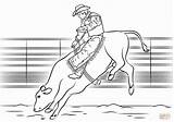 Coloring Bull Riding Pages Pbr Riders Print Printable Drawing Quality High Puppy Popular Coloringhome sketch template