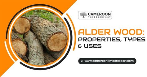 exploring alder wood properties types