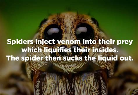 13 facts about nature that are just plain shocking