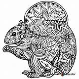 Zentangle Squirrel Coloring Pages Vector Doodles Clipart Stock Shutterstock Style Zentangles Animal Mandala Book Mandalas Con Illustrations Silhouette Da Animales sketch template
