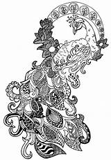 Pfau Ausmalbilder Ausmalen Zentangle Mandala Vorlagen Erwachsene Schone sketch template
