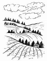 Paesaggio Rural Campi Arati Fields Inchiostro Rurale Pino Inciso Schizzo Engraved Plowed Gravierte Ländliche Landschaft Schetstekening Landschap Gebieden Pijnboomboom Landelijk sketch template