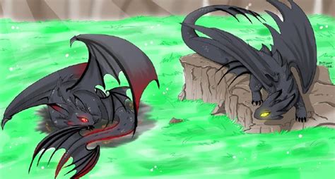 chapter 7 life as a nightfury toothless x reader
