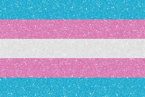 trans pride social bristol pride