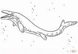 Coloring Jurassic Mosasaurus Pages Printable Drawing Dot sketch template
