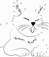 Cat Kitten Dot Dots Connect Lil Bub Dwarf Worksheet Kids Email Animals Printable sketch template