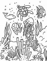 Underwater Sheets Museprintables Coral Habitat Dxf Arrecifes sketch template