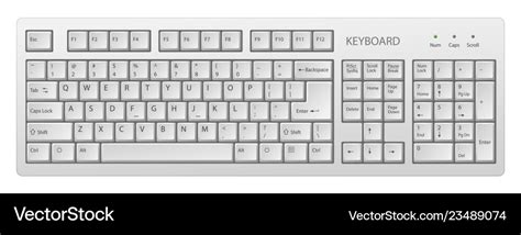 white pc keyboard keyboard    vector image