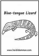 Lizard Tongue Skink Lizards Tongued sketch template
