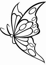 Mariposas Imágenes Schmetterling sketch template