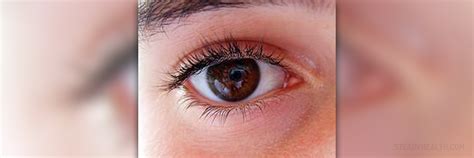 eye disease eyelid lump eye disorders  diseases articles body health conditions