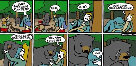 bear everyone play dead funny pictures bear camp comics funny comics and strips