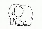 Elefanti Colorat Coloring Desene Elefant sketch template