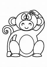Macacos Macaco Monkey sketch template