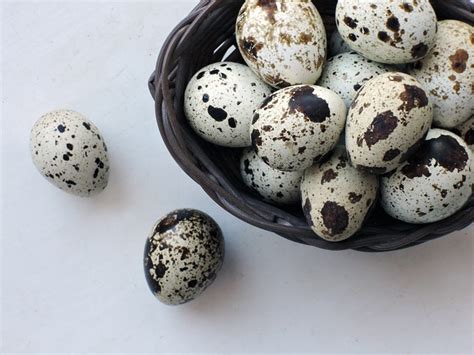 7 Wonderful Benefits Of Quail Eggs