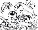 Coloring Pages Sea Animals Baby Print Kids Ocean Printable Cute Color Hawaiian Life Real Propose Today Adults sketch template