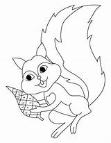 Coloring Squirrel Pages Flying Squirrels Cliparts Preschool Clipart Popular Library Coloringhome sketch template
