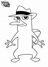 Ferb Phineas Perry Coloring Pages Baby sketch template