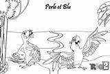 Blu Coloriage Perle Colorier Aras Dernier sketch template